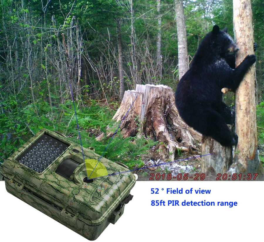 SG562-12mHD Bolyguard охотничья тропа, игровые камеры 12MP 720 P, инфракрасная камера ночного видения, фото ловушка для обнаружения дикой жизни
