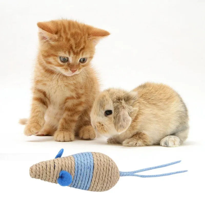 Cat Toy Rope Plush Shake Movement Mouse Pet Kitten Funny Rat Little Interactive Bite | Дом и сад