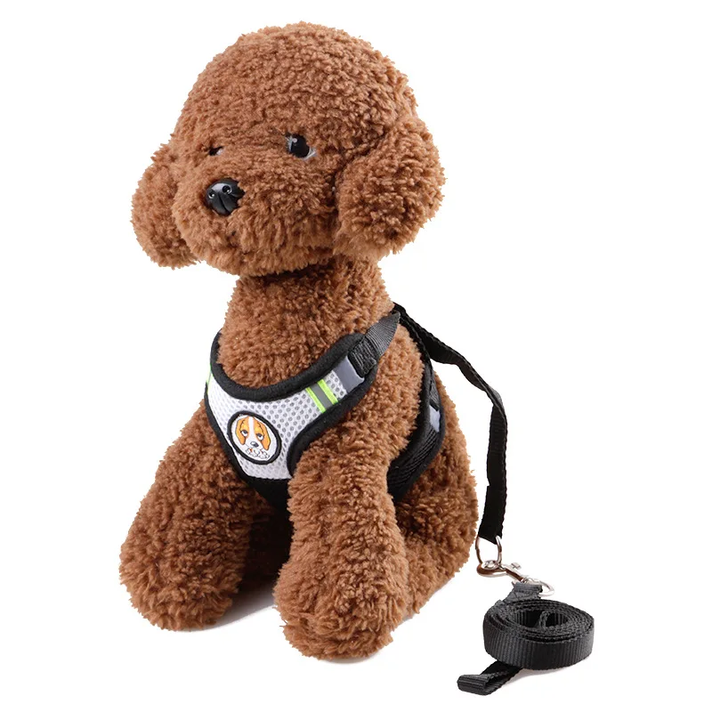 Летняя дышащая шлейка ведет наборы милая стильная Открытый нейлон поводки для