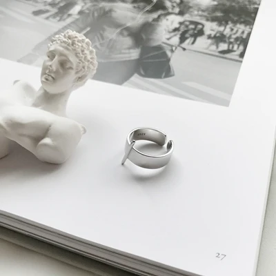 LouLeur, серебро 925 пробы, с указкой, открытые, серебряные, креативные, простые, дикие, элегантные, шикарные, открытые, женские кольца, серебро 925 пробы, ювелирные изделия - Цвет камня: silver