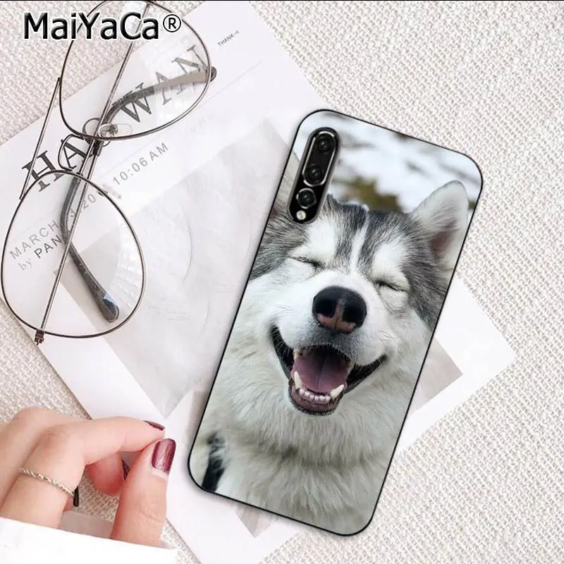 MaiYaCa симпатичная собака хаски мягкий чехол для телефона Huawei P20Lite P10 Plus Mate10Lite Mate20 P20
