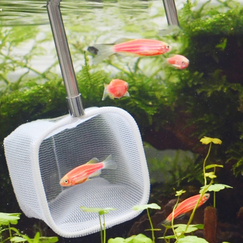 Рыболовная сеть выдвижная круглая квадратная рыболовная для ловли креветок