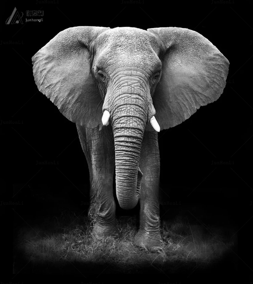 Холст для комнаты современная живопись большой холст 1 шт. (без рамки) картина со