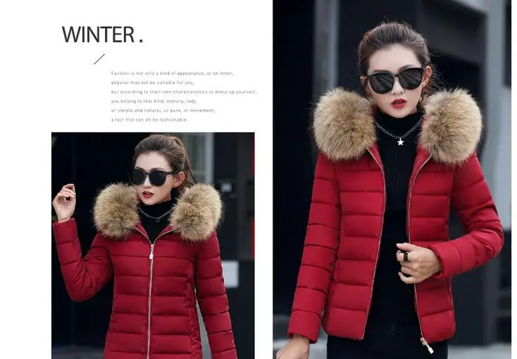 Winter new short large fur collar cotton female Korean version of the slim slimming cotton down jacket