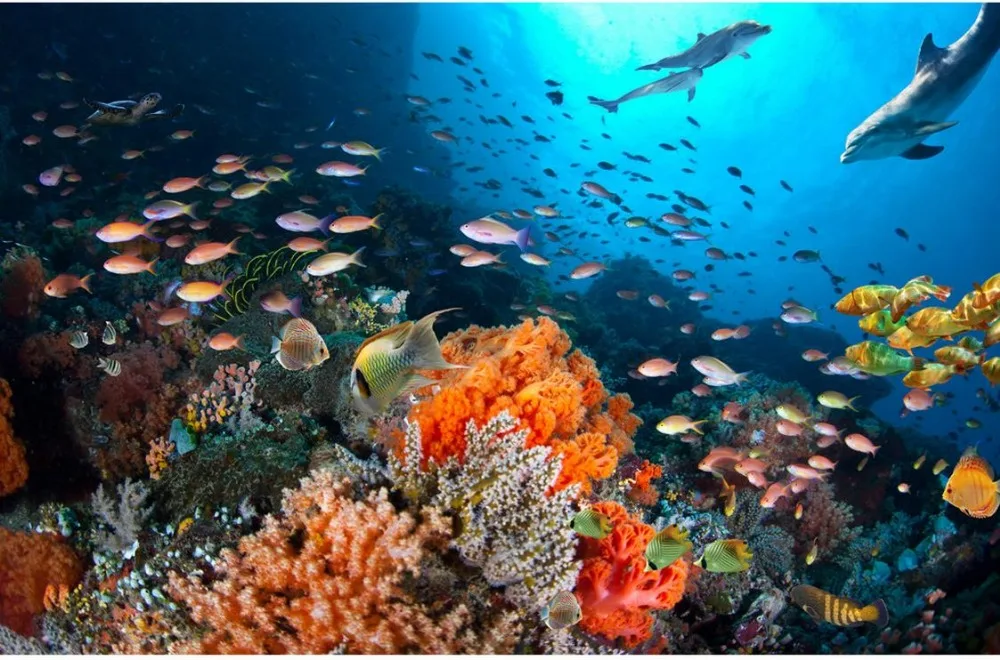 Настенная фотография обои Коралловая морская рыба пользовательские 3d фото