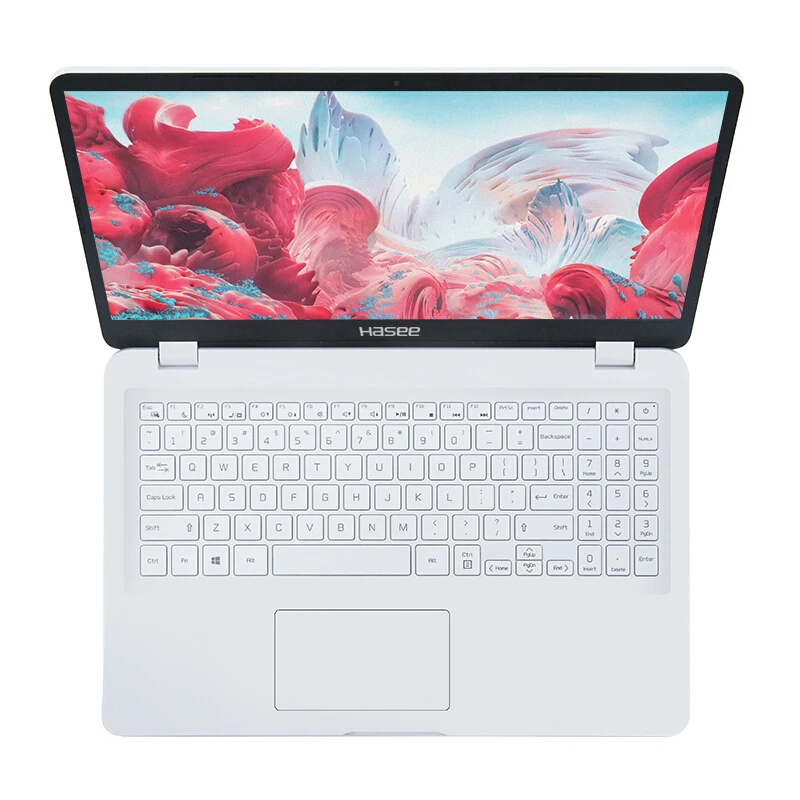 Ноутбук hasee KINGBOOK U65E(Intel I5-8265U+ GTX1050 MAX-Q 4G GDDR5/8G ram/256G SSD/15,6 ''IPS 45% NTSC