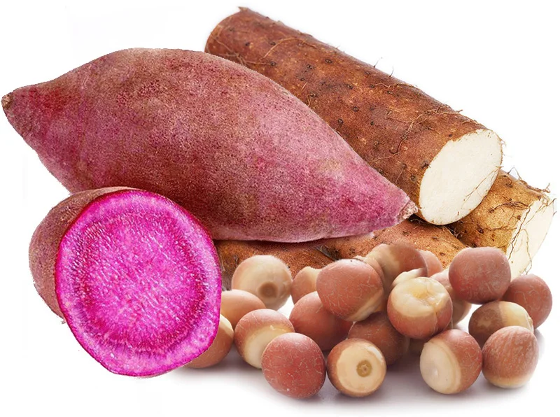 Чистый натуральный растительный 100 г китайский ямс и семена эвриалов фиолетовый