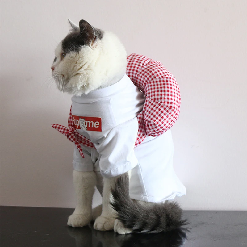 Mum Dad I Will Run Away From Home! Cat Scarf Supplies Lovely Collar Costumes Cats Dog Products Neck Gaiter for Kitten Shiba Inu | Дом и сад