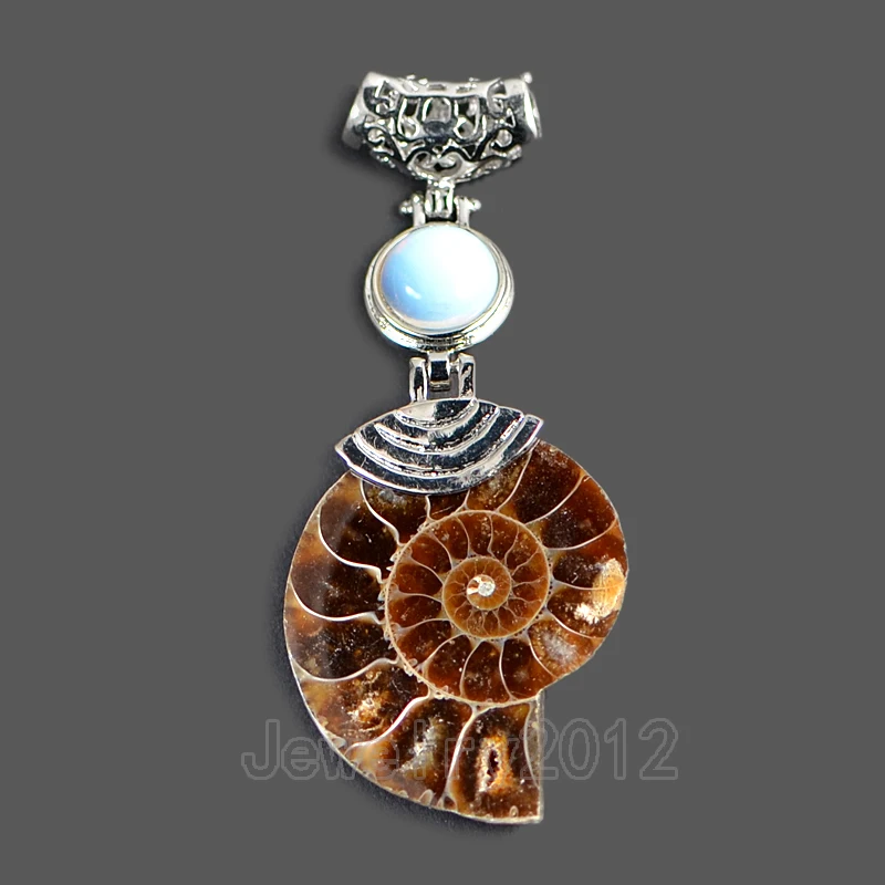5 шт/лот Opalite Поделочные камни аммонит Фосси-л Healling Рейки Чакра бусины серебряный