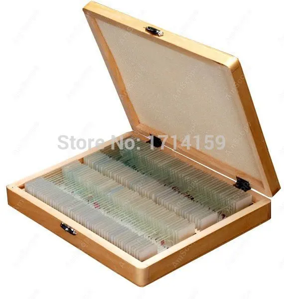 

AmScope Supplies 100 Homeschool Biology Prepared Microscope Slides - Set E