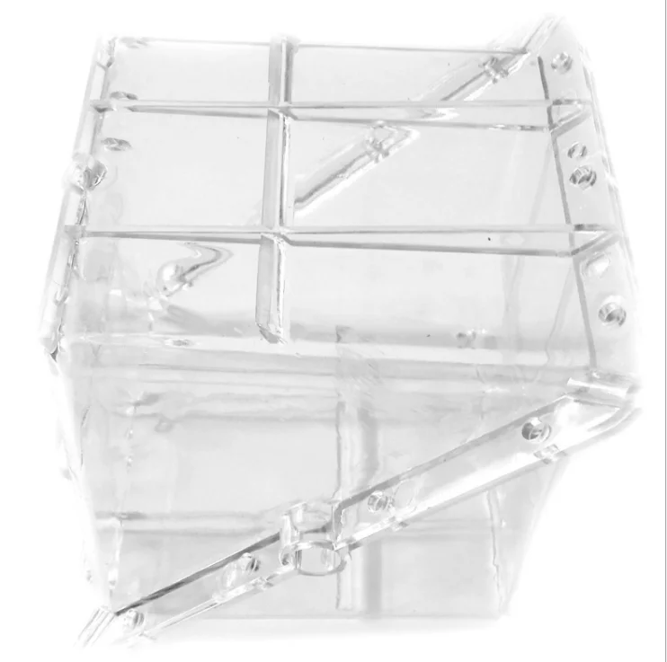 15cmx15cm 25%, Огуречный арбуз, фрукты, выращивание, форма квадратной формы в форме сердца, d пластиковые прозрачные для сада бонсай - Цвет: 15cmx15cm