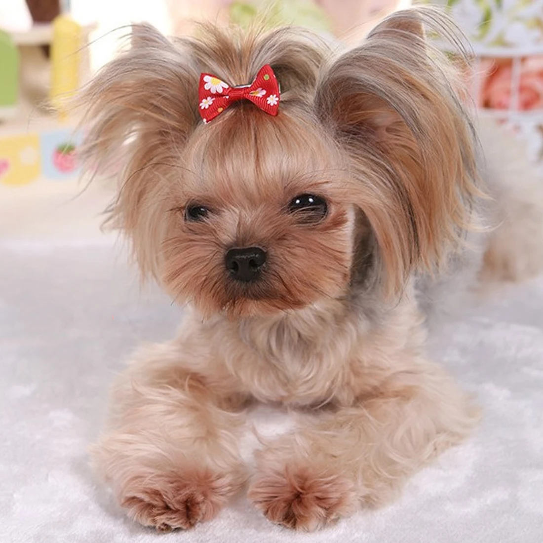 Милая лента разноцветная 20 шт. ручная работа банты для небольших собак и кошек с