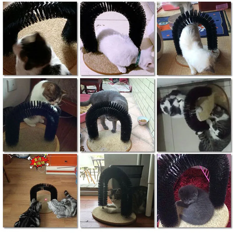 АРКА кошек круглые кошачьи игрушки щетка для домашних животных с котенком