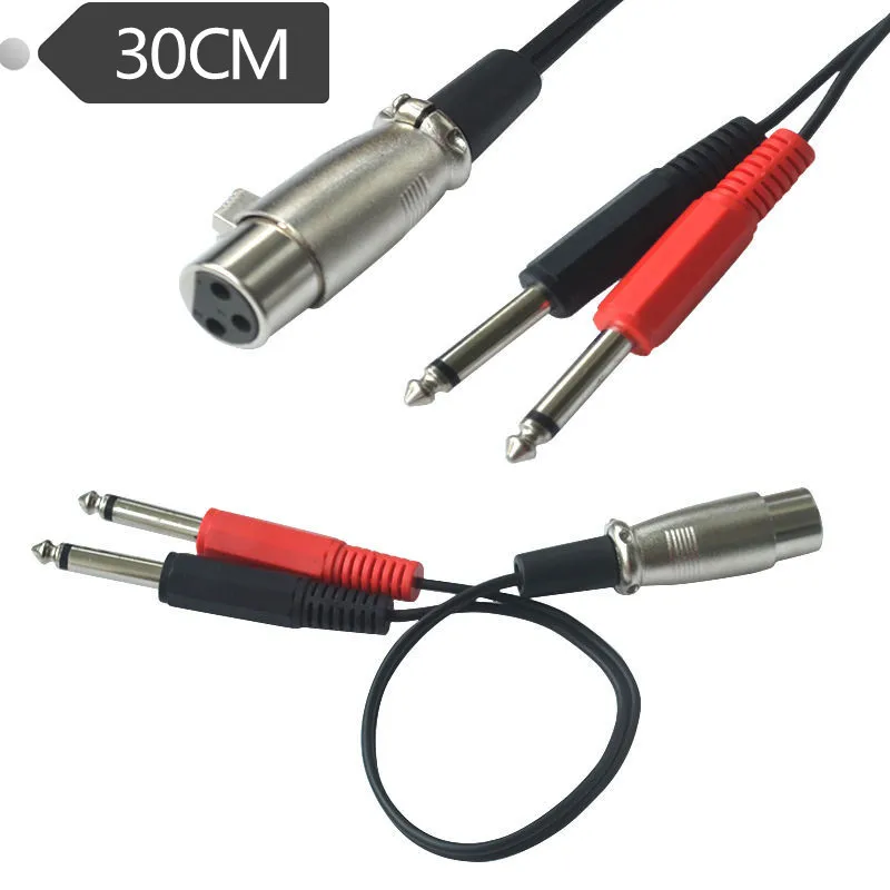 Мать оказывается двойной большой два основных XLR карты 6 35/6 5 одна минута аудио