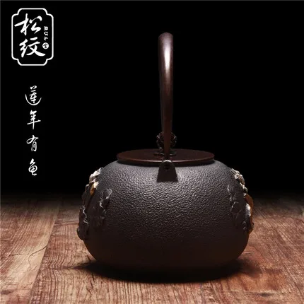 Старинный Железный чайник ручной работы без покрытия японский Южный чугунный с