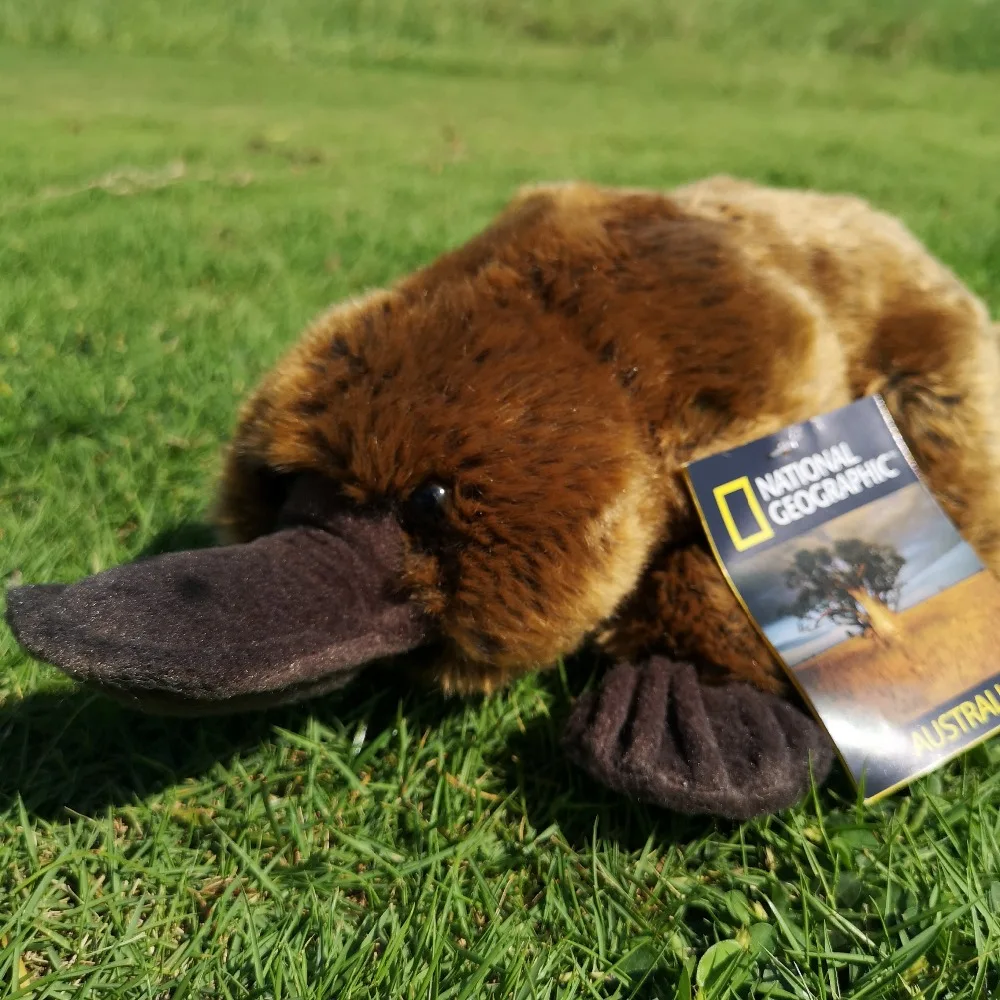 National Geographic 10," коричневый Утконос плюшевый обычный мягкий чучело Коллекция игрушек куклы с биркой