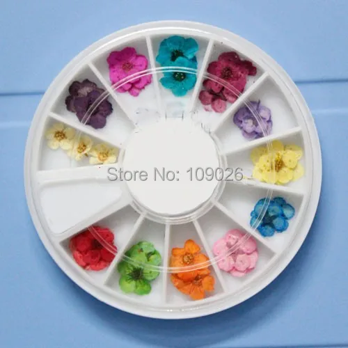 72 шт. 12 цветов сушеные цветы украшения для ногтей из акрила|acrylic nail art|nail art