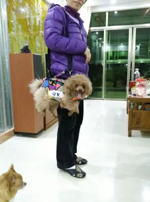 Pet Shop аксессуары для собак транспортировка переноски щенков животных шлейка для кошек рюкзак сумки переноска для чихуахуа терьера