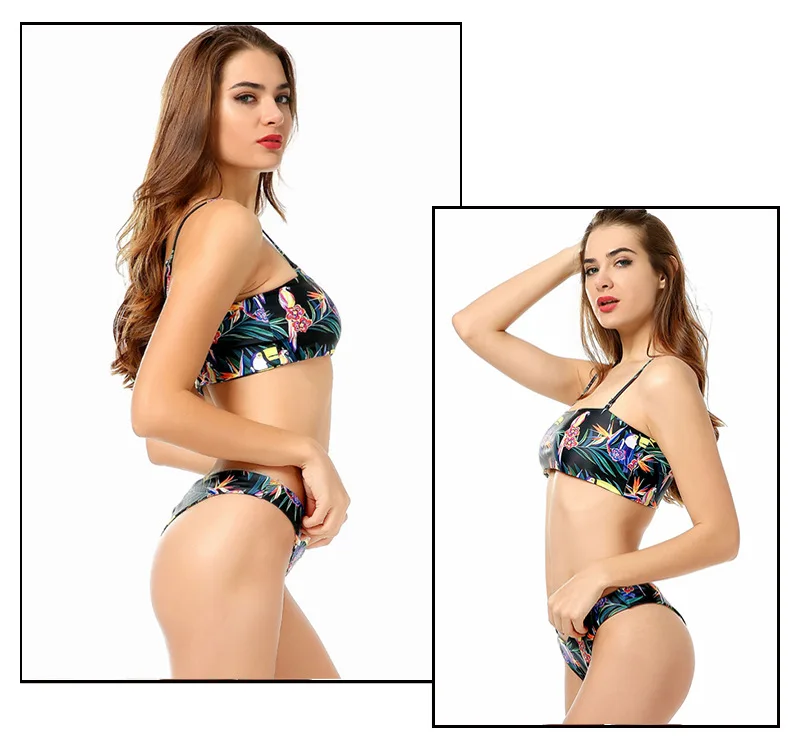 2018 Европа и США новый бикини принт птица раздельный купальник|europe swimwear|swimwear