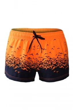 Lachilly летние бикини бразильский Низ Чайка печатных Для женщин Плавание Шорты для