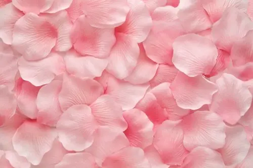 

5x7ft Beautiful pink flowers Art photography computer Printing background for studio backdrop