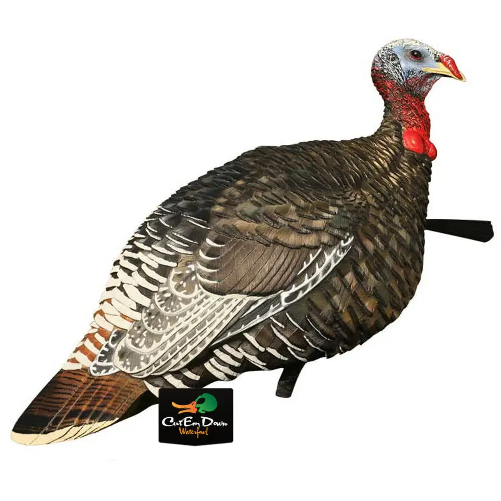 ZINK вызовы LCD AVIAN X Мерриам JAKE HEN комбинированный складной движение индейка