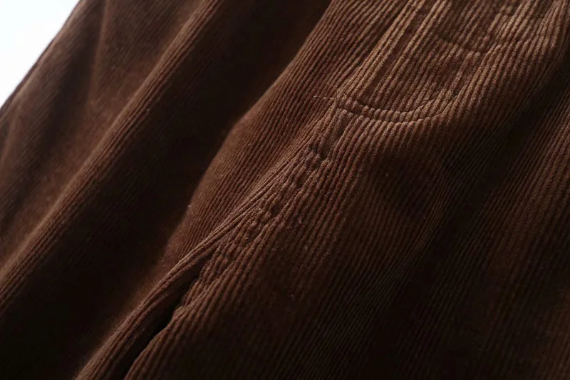 Winter Corduroy Pencil Pants Women Casual Elastic Waist streetwear Pant Solid High Waist trousers Women Loose Ladies Pants
