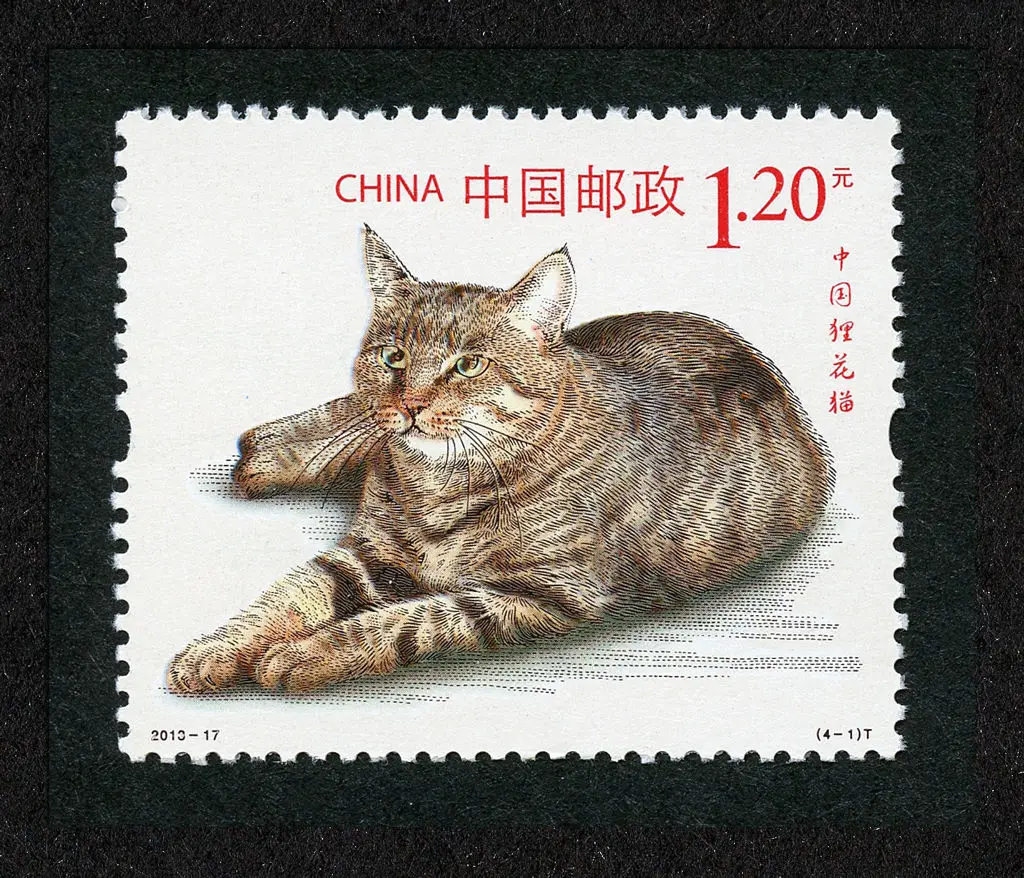 Новый Китай 2013 17 кошачий почтовый штамп 4 шт марки Новые MNH|Штампики| |