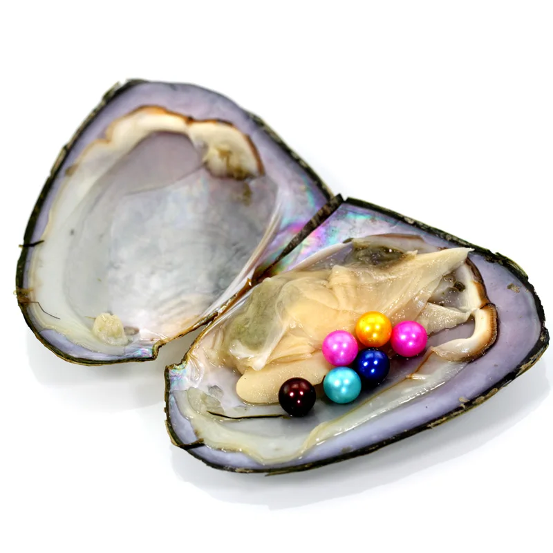 Высокое качество дешевые любовь пресноводная раковина жемчуг Oyster 10 жемчужины 6 7