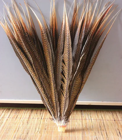 Красиво! 10 шт./лот! натуральные золотые перья из хвоста фазана 40-45 см/16-18 дюймов в длину