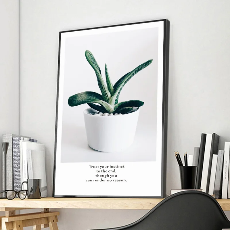 Свежие зеленые кактусы суккуленты настенная Картина на холсте скандинавские