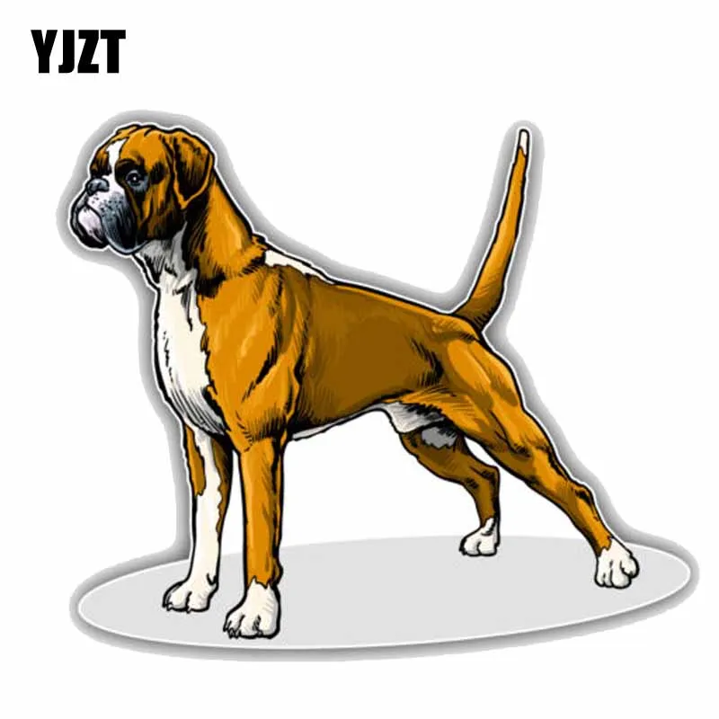 

YJZT 14 см x 11,8 см Прекрасный боксер породы декоративная собака для автомобиля бампер ПВХ высокого качества автомобильные наклейки C1-9078