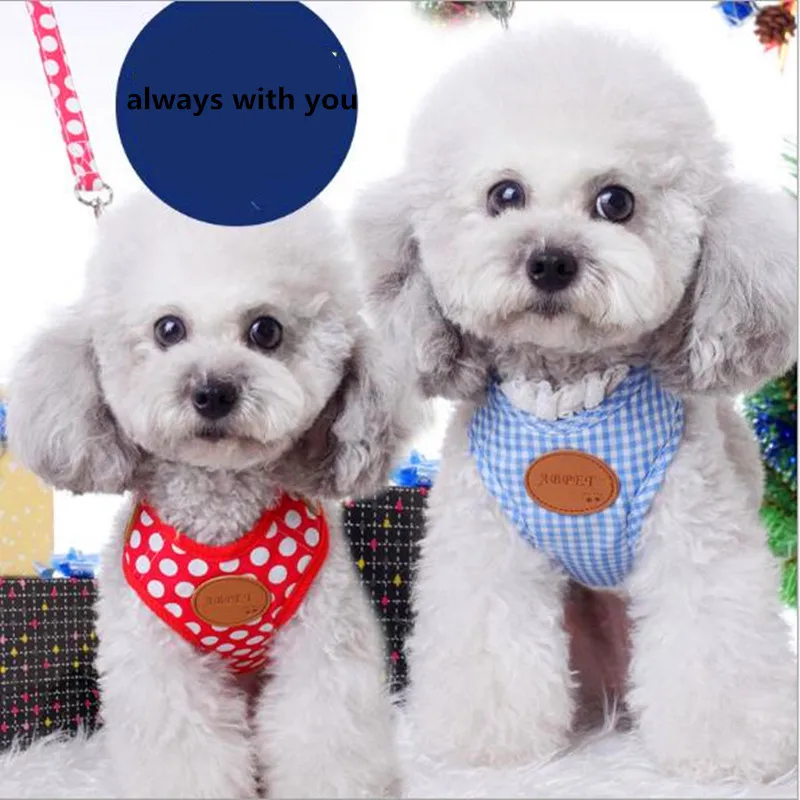 Регулируемый ошейник для собак чихуахуа поводок маленьких набор кожаных