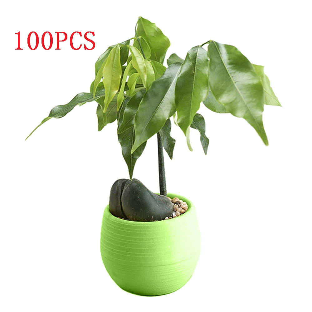 100 шт мини красочные круглые пластиковые растения Цветочный горшок сад домашний