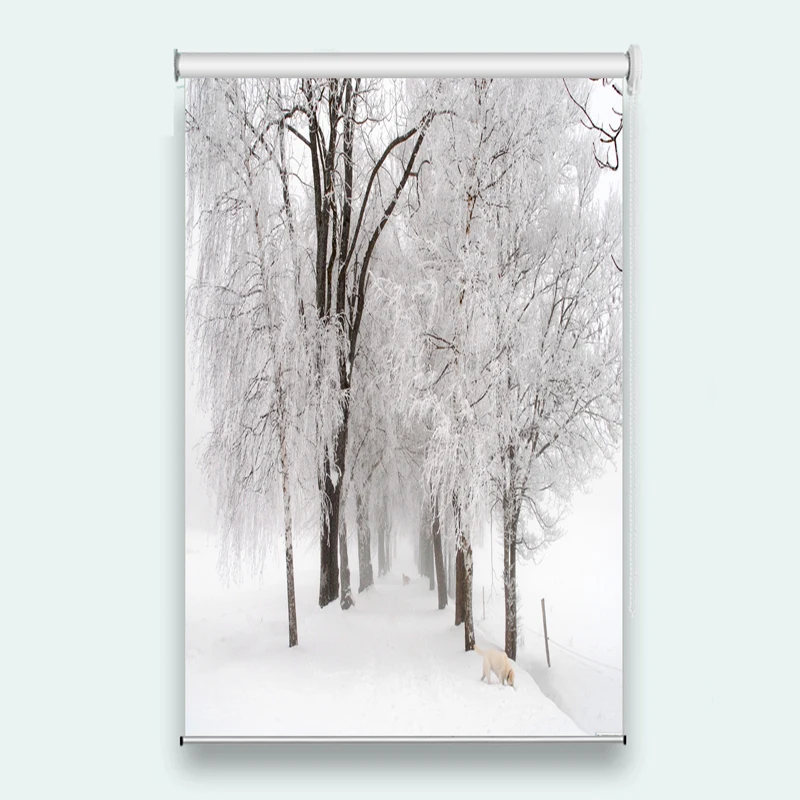 

window blinds Sunscreen 3D Roller Blind Snow scene Used for Any room decoration roller blinds for windows