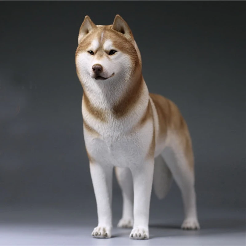 Модель Mnotht 1/6, модель Siberian Husky, игрушки для моделирования, модель собаки для 12 дюймов, фигурка, игрушка l30, коллекция, хобби, PRE-SALE - Цвет: Pre Sale 006