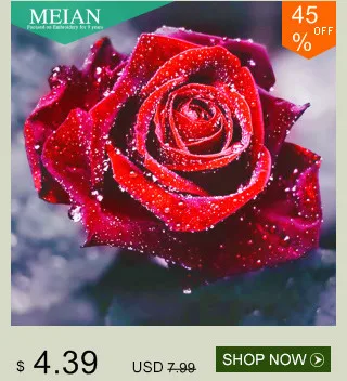 Meian, 5D, сделай сам, алмазная живопись, Алмазная мозаика, "розовый цветок" картины Стразы вышивки крестом, домашний декор, алмазная вышивка, Рождество