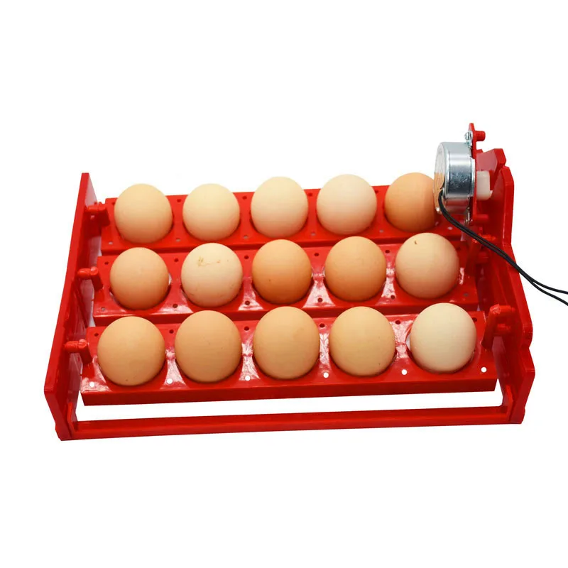 15 Eggs Incubator Egg Tray Automatic Automatically Turn The Poultry Incubation Equipment 1pcs | Дом и сад