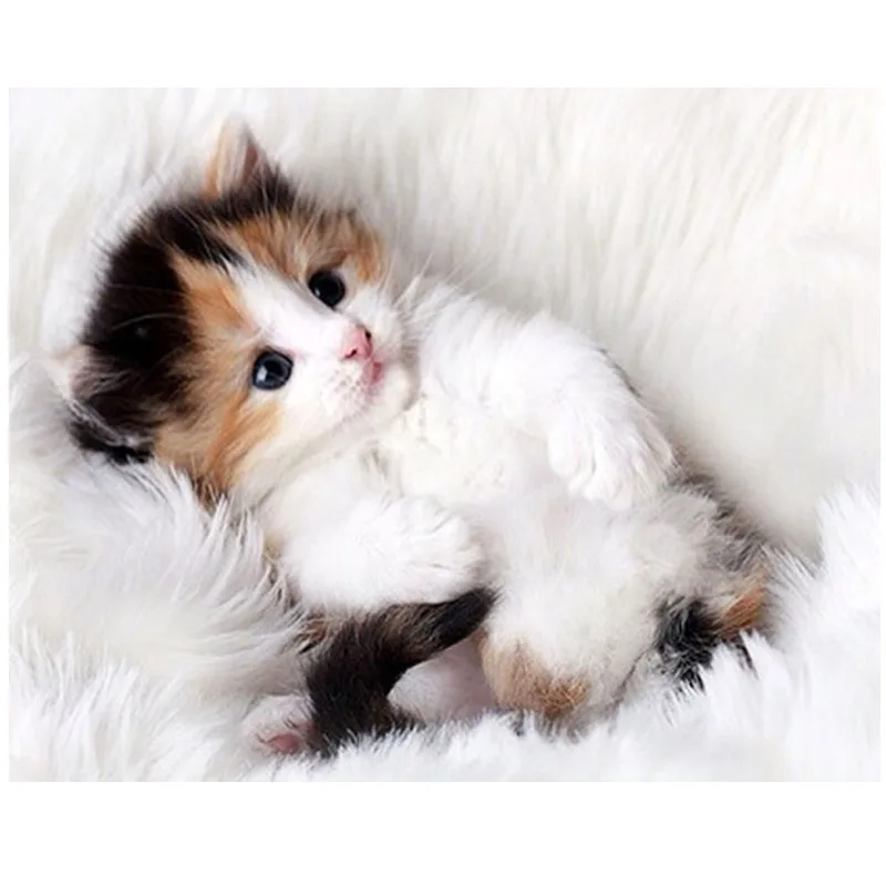 Алмазная 5d Вышивка с изображением милого кота животное круглая мозаика вышивка