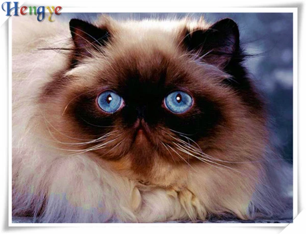 Горный хрусталь полный круглый бриллиант Вышивка животного милый кот 5D diy