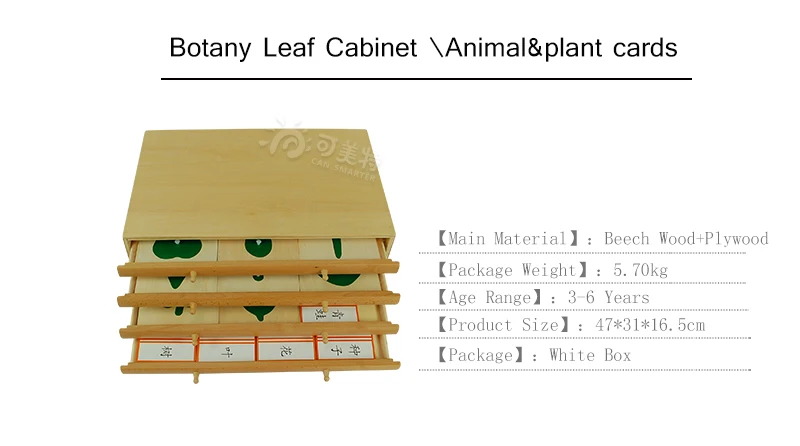 Botany лист шкаф паззлы деревянная коробка Монтессори биологические Обучающие игрушки Образование для детей дошкольного возраста материалы