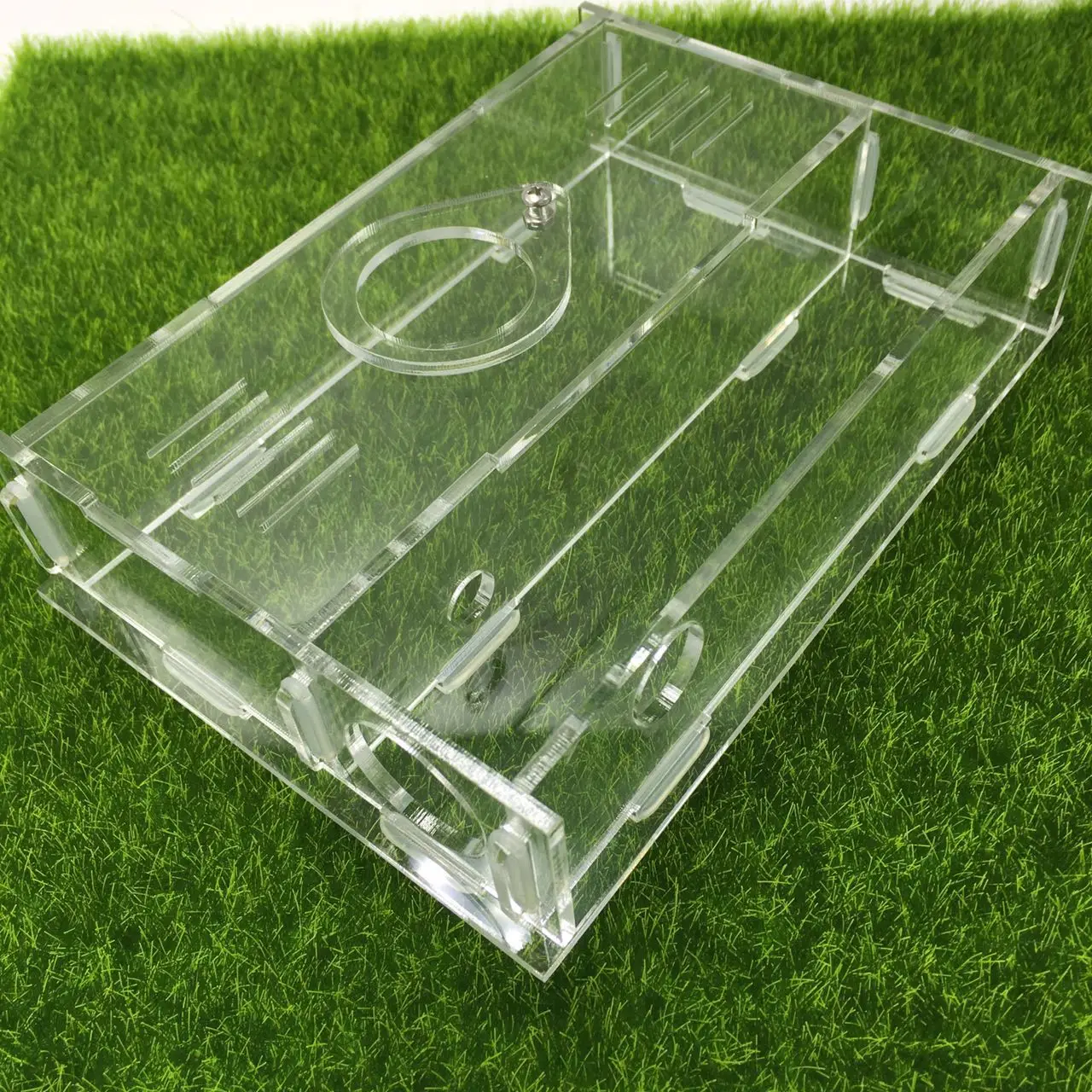 1 шт. Муравьиное гнездо новое заднее акустическое жилище|Товары для насекомых| |