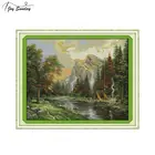 Набор для вышивки с китайским тиснением Joy Sunday, Набор для вышивки крестиком, напечатанный холст, ткань Aida 14ct 11ct DMC, рукоделие сделай сам