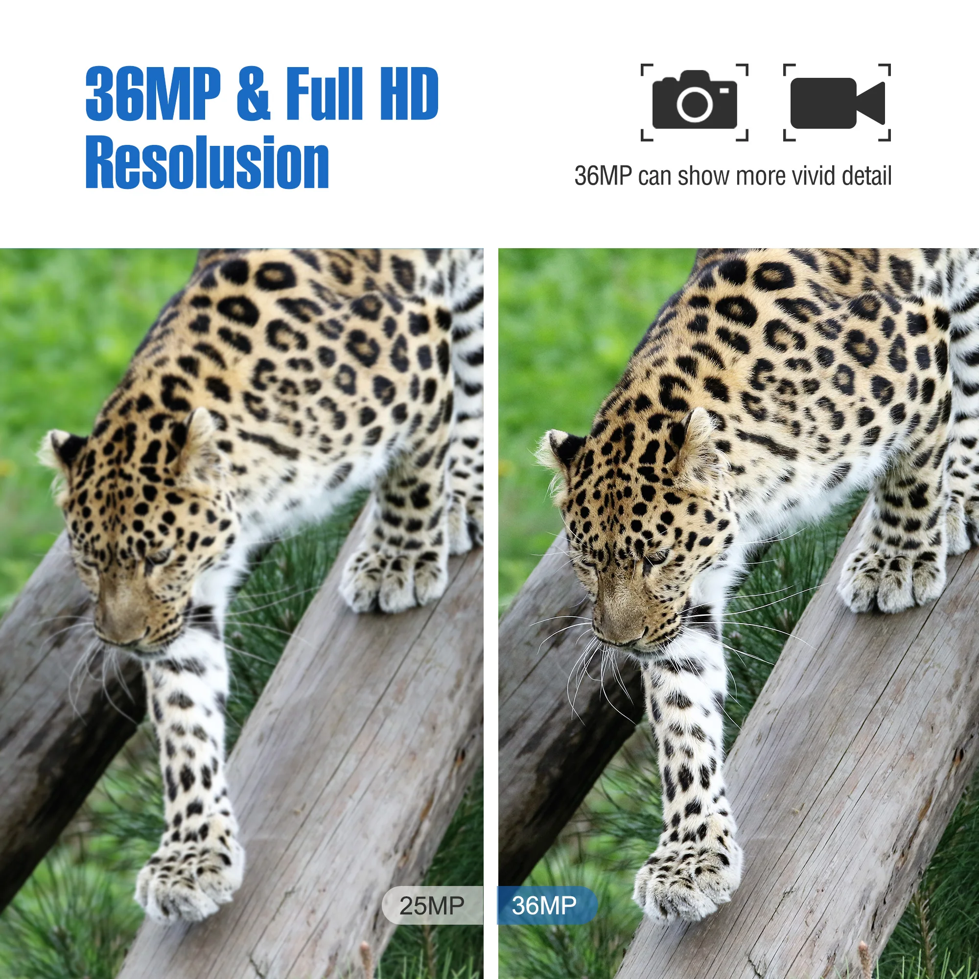 Bolyguard охотничий Трейл камера 36MP 1080 P HD широкоугольный 110 ° тепловизор 100ft ночного видения 940nm движение острый fototrappola