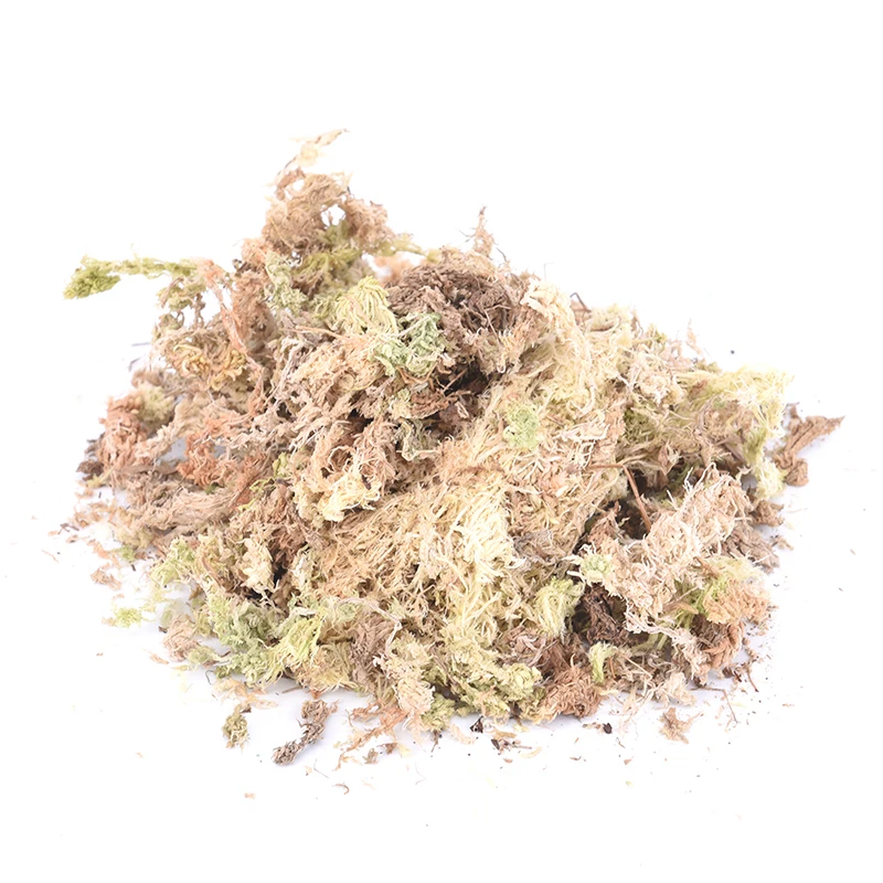 Увлажняющее питательное органическое удобрение Sphagnum Moss 12 л для орхидеи Садовые