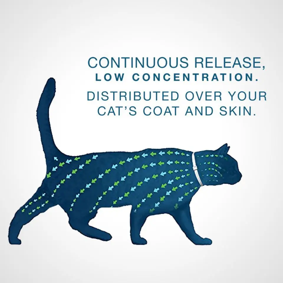 Премиум блох и клещей ошейник для собак Водонепроницаемый Регулируемый кошек с