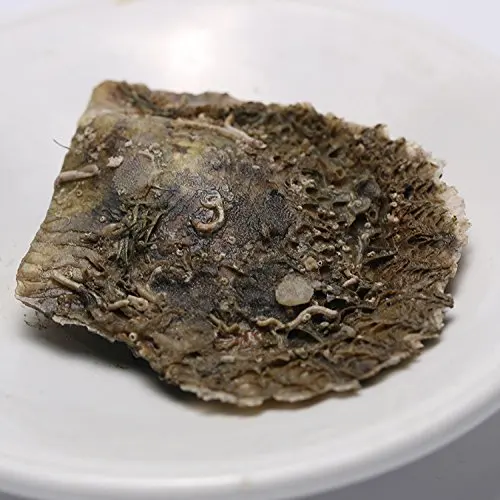 HENGSHENG 1 шт Морской круглый жемчужный 9-10 мм Южное море золотой цвет жемчуг внутри как пожелаете