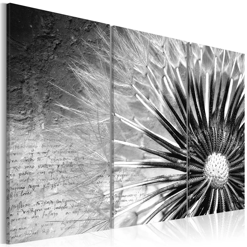 

Wholesale 3 Pieces/set Dandelion series Wall Art For Wall Decor Home Decoration Picture Painting PJMT-B (150)