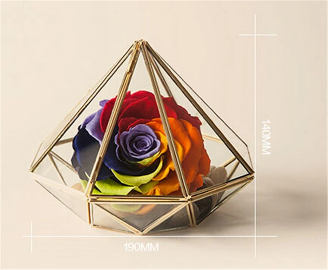 Минимализм в форме алмаза подвесной стеклянный террариум местные тираны золото