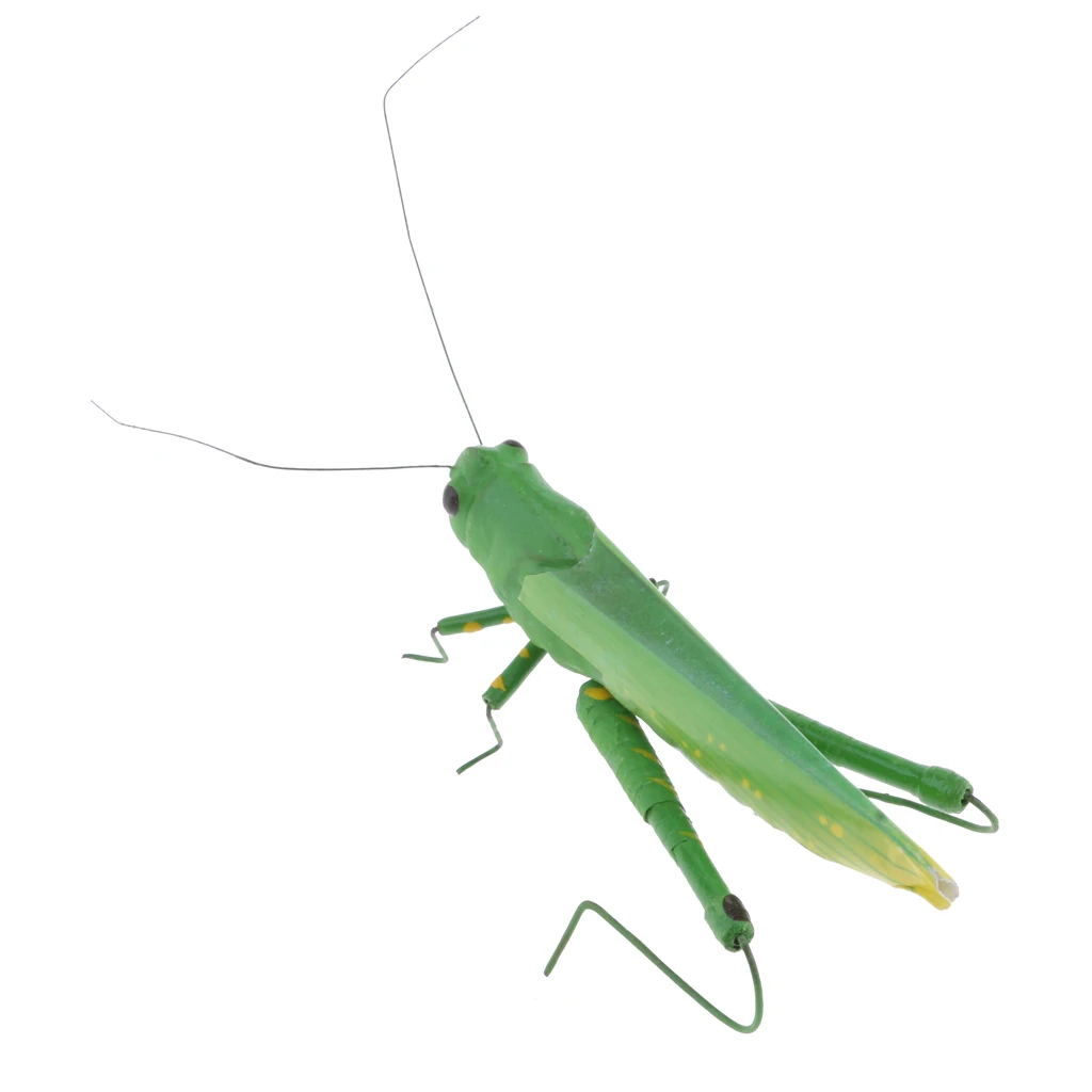 Locust Ловля нахлыстом, 1 шт., Шмель, пчела, кузнечик, жук, сухие мухи, Реалистичная приманка, насекомое, для приманки, набор для украшения дома и сада - Цвет: Locust